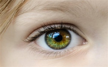角膜眼表疾病科